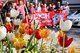 1. Mai in Sindelfingen (Fotos: Michael Joerg)